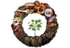 Comissão Europeia adota metodologia comum para prevenir o desperdício alimentar e promover a economia circular