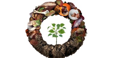 Comissão Europeia adota metodologia comum para prevenir o desperdício alimentar e promover a economia circular