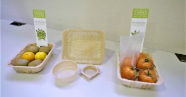 Continente participa no projeto YPACK para encontrar alternativa ao plástico