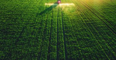 Custos da importação global de alimentos deve diminuir