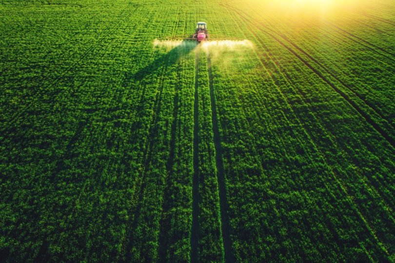 Custos da importação global de alimentos deve diminuir