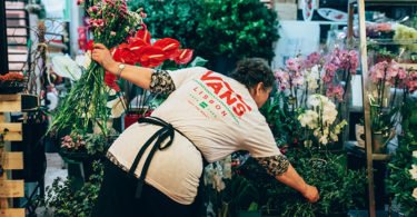 Vans coleção Lisboa Distribuição Hoje