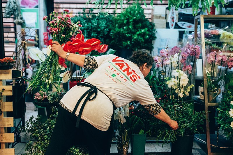 Vans coleção Lisboa Distribuição Hoje