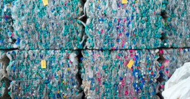 plástico reciclado distribuição hoje