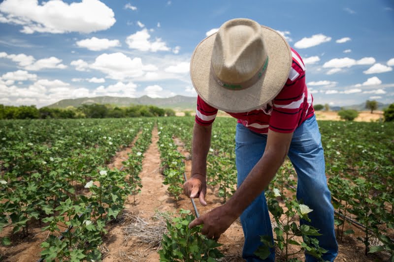 A estratégia sustentável da C&A em 2018