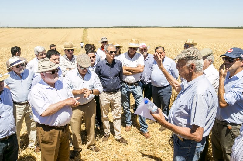 ANPOC lança marca “Cereais do Alentejo” 