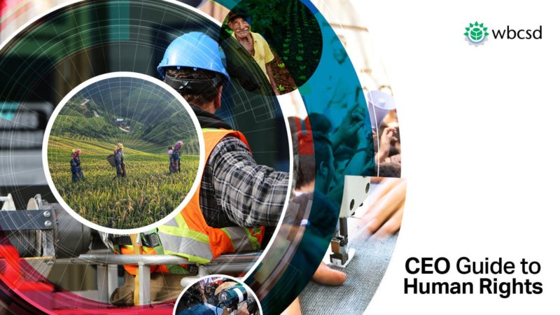 Sonae adere a iniciativa de promoção dos direitos humanos