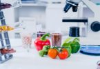 Estudo europeu mostra diferenças nas composições dos alimentos da UE