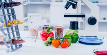Estudo europeu mostra diferenças nas composições dos alimentos da UE