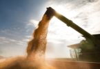 Indústria agro-alimentar portuguesa deverá ultrapassar os 17 mil milhões de euros em volume de negócios