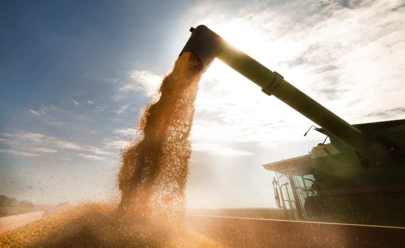 Indústria agro-alimentar portuguesa deverá ultrapassar os 17 mil milhões de euros em volume de negócios