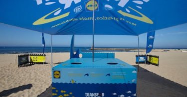 Lidl projeto Transformar Distribuição Hoje