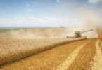 Agricultura