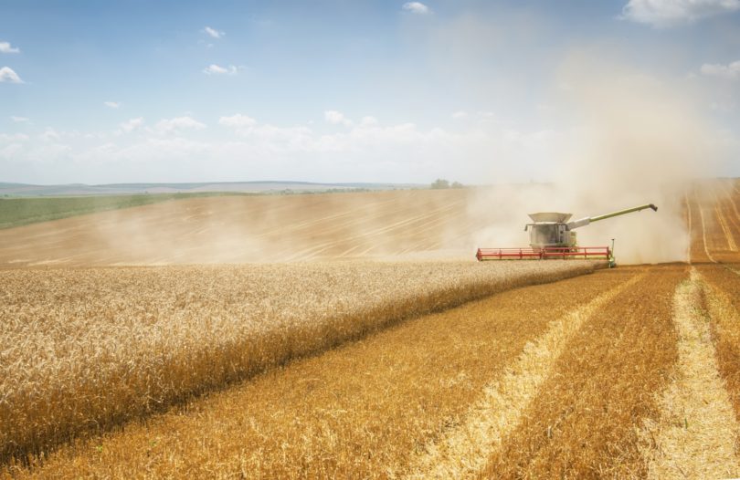 Agricultura