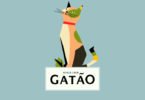 Gatão ‘veste’ novas cores
