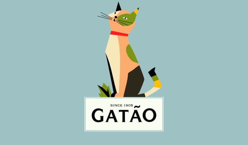 Gatão ‘veste’ novas cores