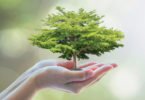 Programa europeu de sustentabilidade vem captar inovação a Portugal