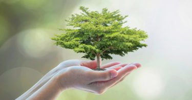 Programa europeu de sustentabilidade vem captar inovação a Portugal