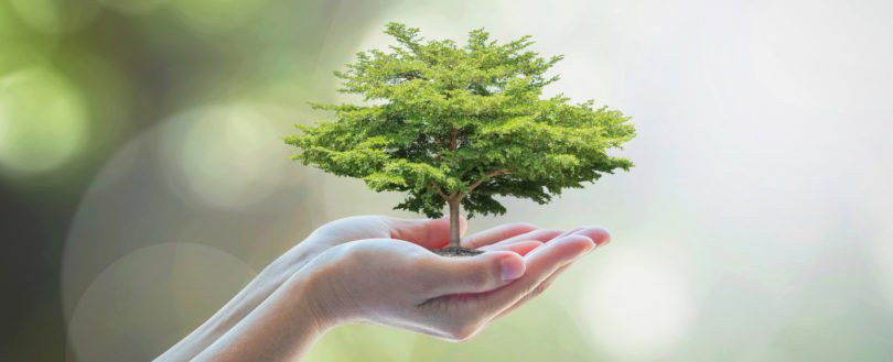 Programa europeu de sustentabilidade vem captar inovação a Portugal