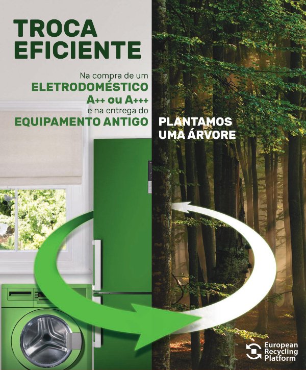 Worten planta 4100 árvores em 2018