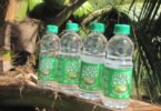 Água de coco brasileira chega a Portugal