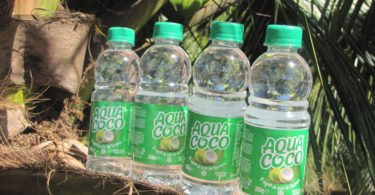 Água de coco brasileira chega a Portugal