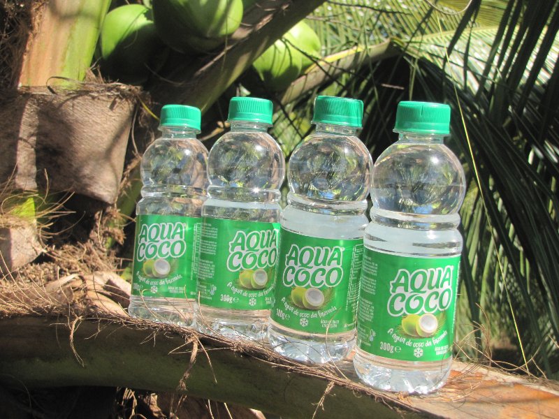 Água de coco brasileira chega a Portugal