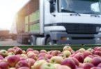 As principais tendências na cadeia de fornecimento alimentar