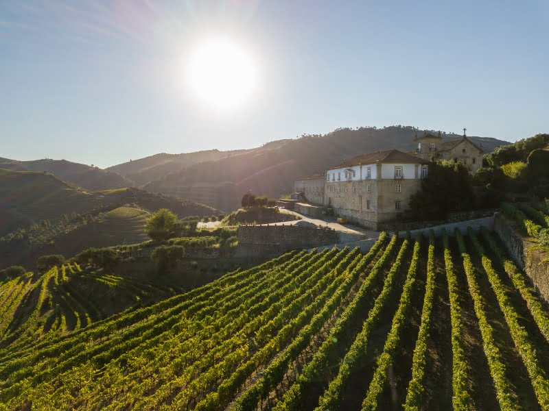 Nasce a Kranemann Wine Estates