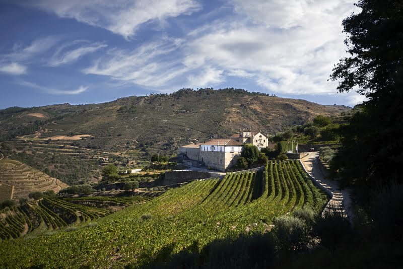 Nasce a Kranemann Wine Estates