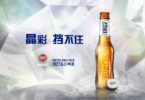 Super Bock lança campanha e nova marca de cerveja na China