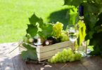 Vinhos de ou para o verão?