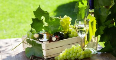 Vinhos de ou para o verão?