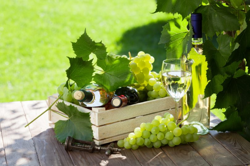 Vinhos de ou para o verão?