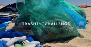 Zippy adere ao ‘Trash Tag Challenge’