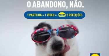 Lidl promove campanha contra o abandono de animais