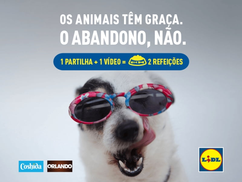 Lidl promove campanha contra o abandono de animais