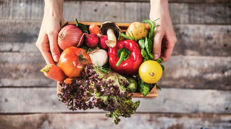 Espanha já representa 30% das exportações de frutas, legumes e flores nacionais