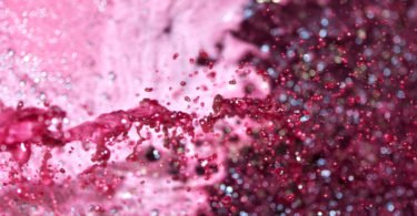 Produção de vinho deverá crescer 10% nesta campanha