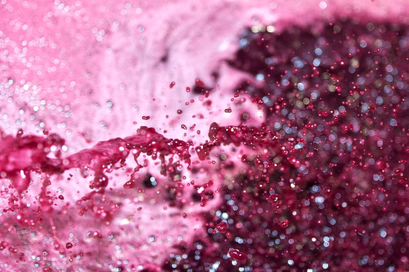 Produção de vinho deverá crescer 10% nesta campanha
