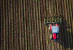 ´Agroalimentar nacional gerou 18 mil milhões de euros em volume de negócios