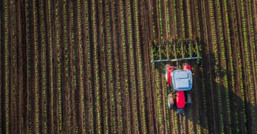 ´Agroalimentar nacional gerou 18 mil milhões de euros em volume de negócios