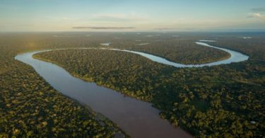Multinacionais comprometem-se a agir para proteger a biodiversidade