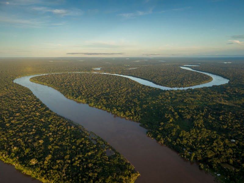 Multinacionais comprometem-se a agir para proteger a biodiversidade