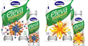 Mimosa Eleva a pensar no novo milénio