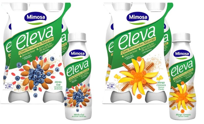 Mimosa Eleva a pensar no novo milénio