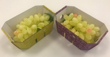 Smurfit Kappa cria embalagem ‘amiga do ambiente’ para uvas