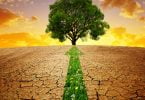 Bruxelas quer mais investimento na proteção do clima