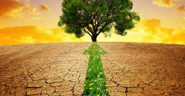 Bruxelas quer mais investimento na proteção do clima