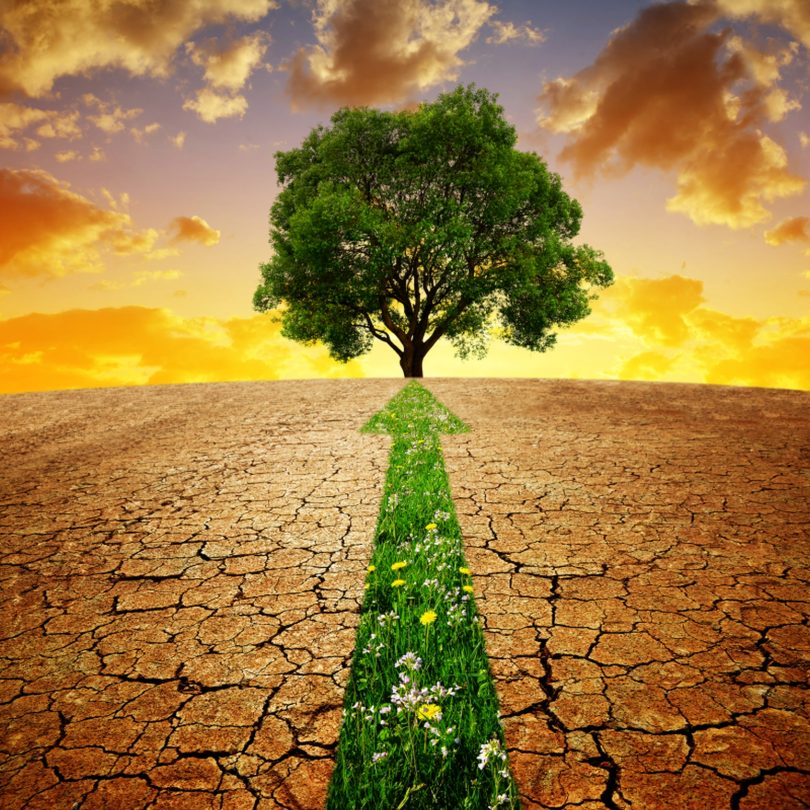 Bruxelas quer mais investimento na proteção do clima